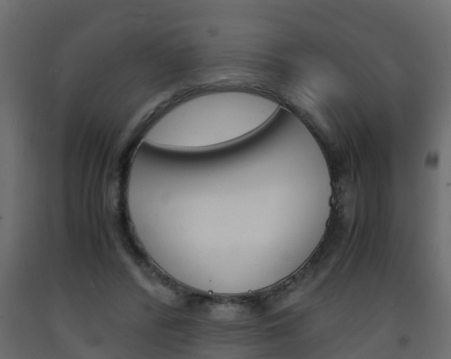 X0000093570400200710151021