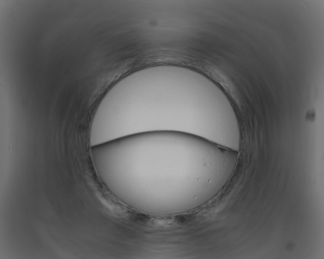 X0000093570401200710151021