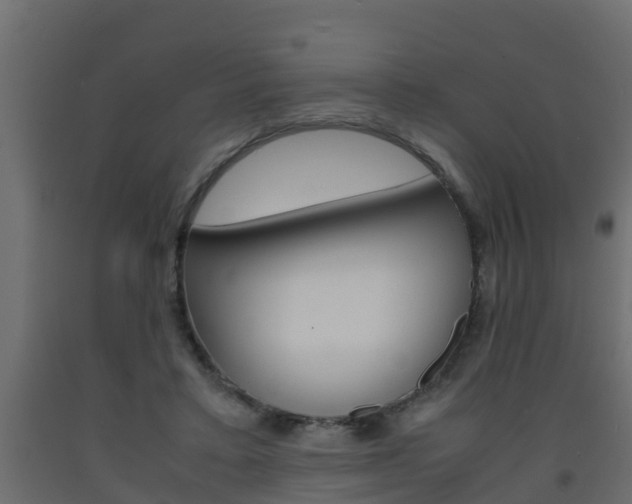 X0000093570403200710151021