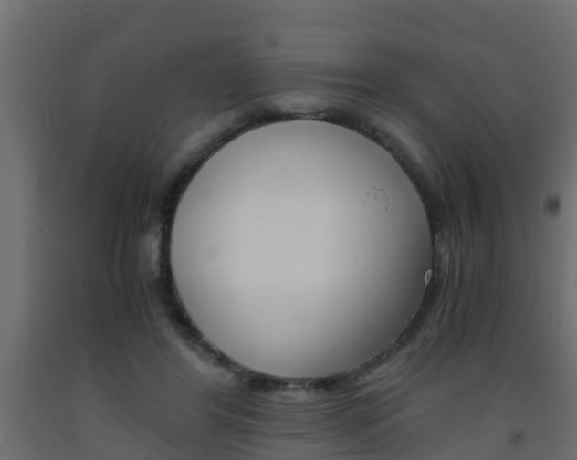 X0000093570404200710151021