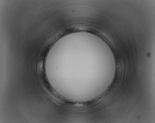 X0000093570406200710151021