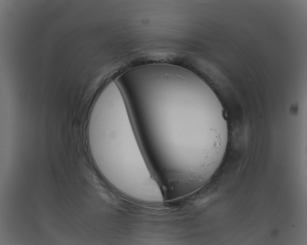 X0000093570407200710151021