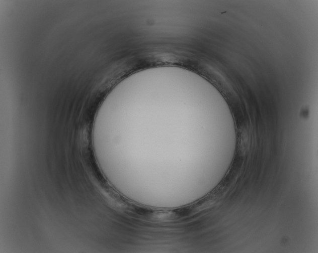 X0000093570410200710151020