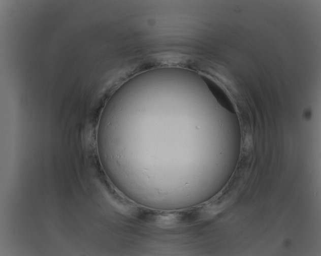 X0000093570411200710151020