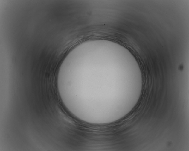 X0000093570412200710151020
