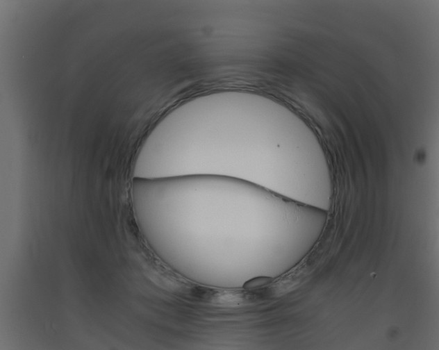 X0000093570413200710151020