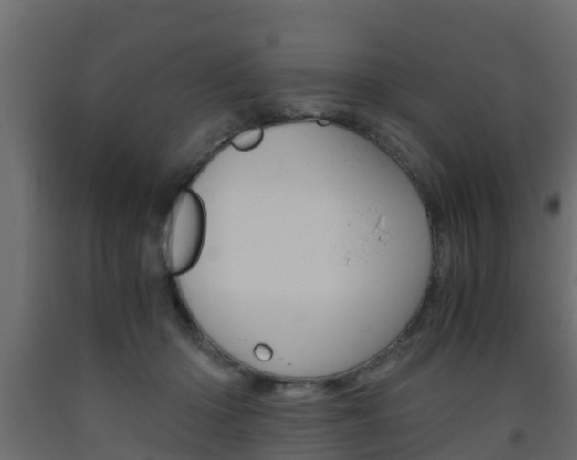 X0000093570414200710151020