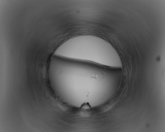 X0000093570416200710151020