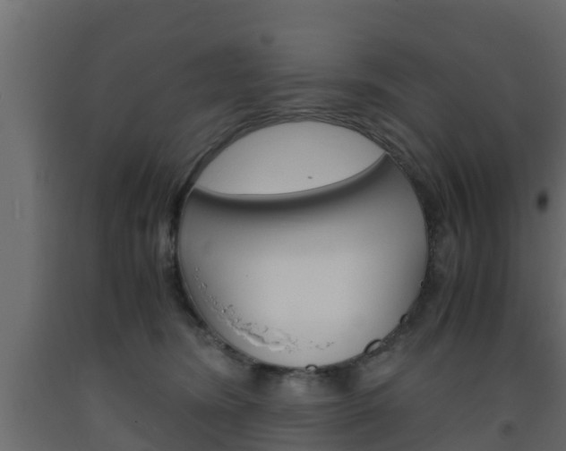 X0000093570420200710151020