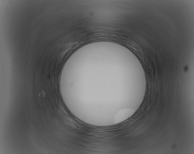 X0000093570423200710151020