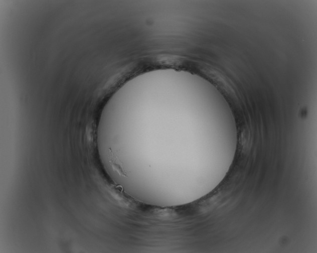X0000093570424200710151020