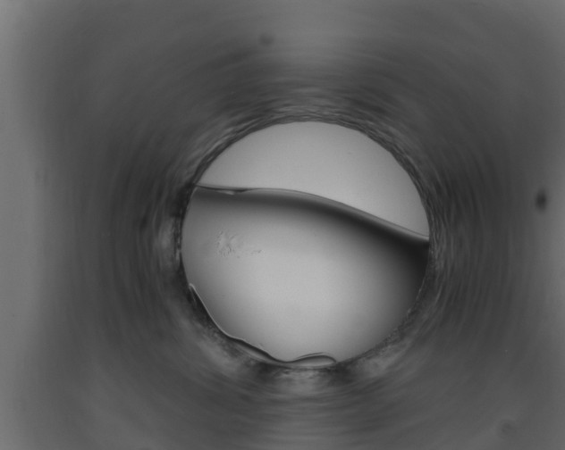 X0000093570428200710151020