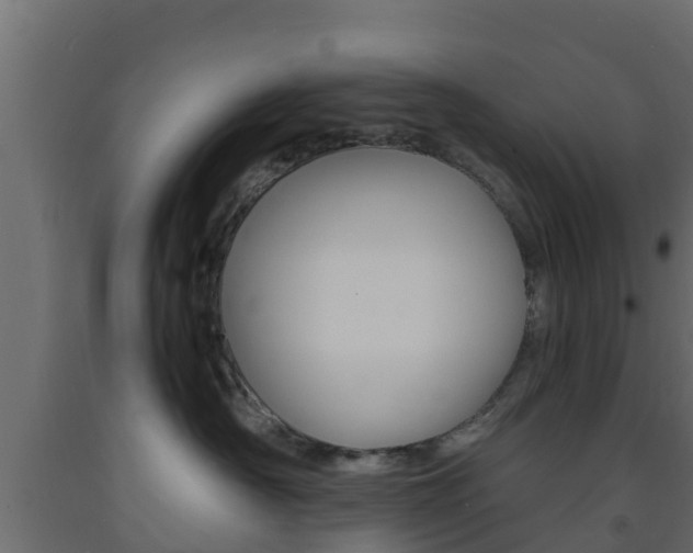 X0000093570430200710151020