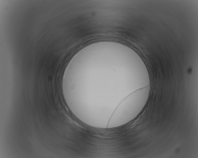 X0000093570431200710151020