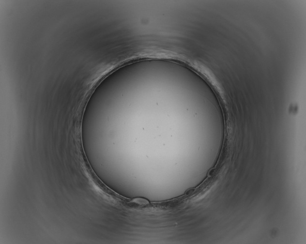 X0000093570433200710151020