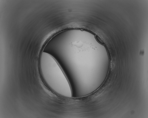 X0000093570438200710151020