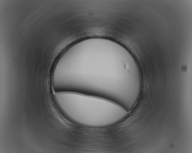 X0000093570439200710151020