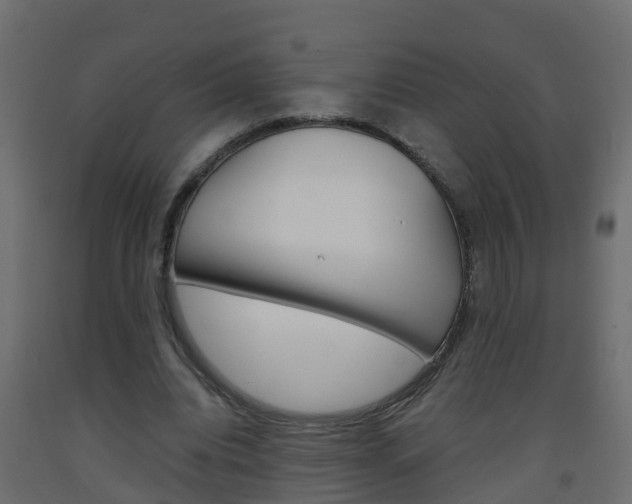X0000093570440200710151020