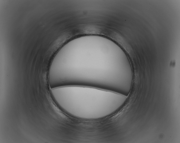 X0000093570441200710151020