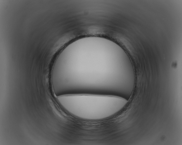 X0000093570443200710151020