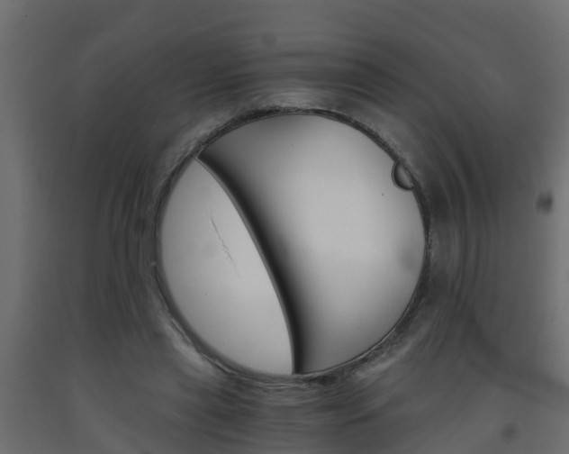 X0000093570445200710151020