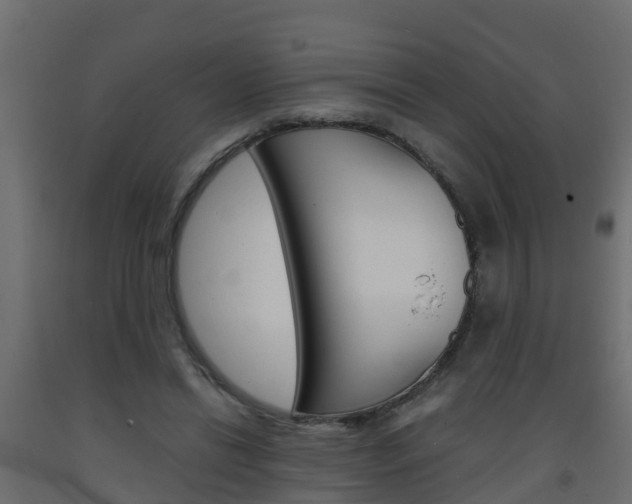 X0000093570446200710151020