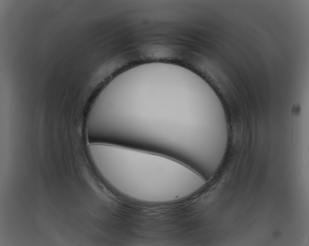 X0000093570447200710151020