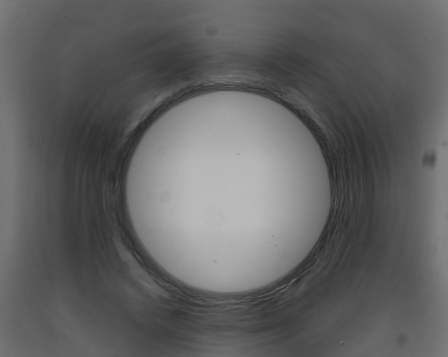 X0000093570448200710151020