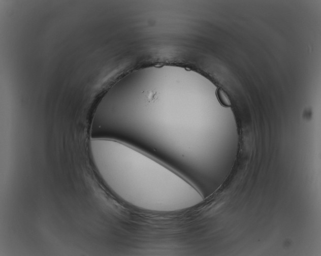 X0000093570450200710151020