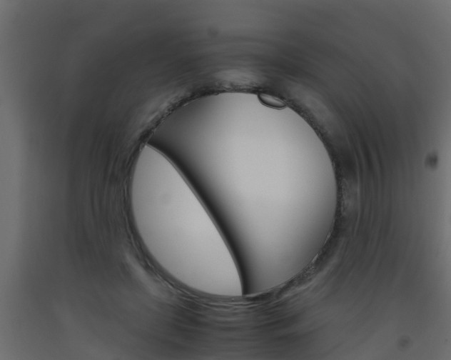 X0000093570451200710151020