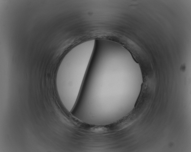 X0000093570452200710151020