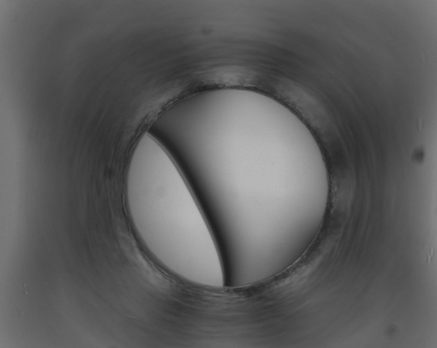 X0000093570453200710151020