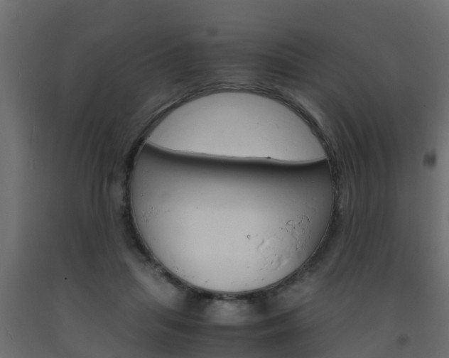 X0000093570455200710151020