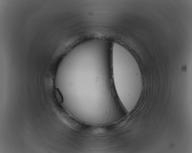 X0000093570456200710151020