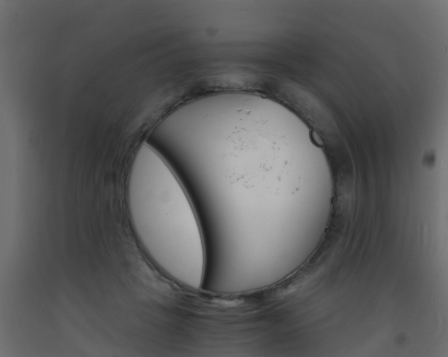 X0000093570457200710151020