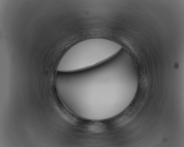 X0000093570459200710151020