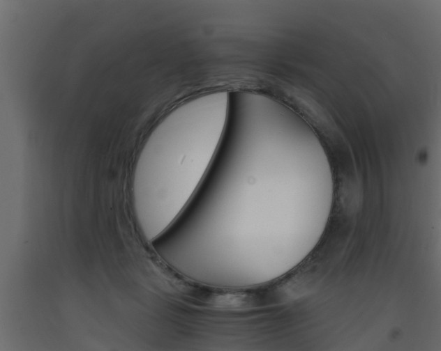 X0000093570461200710151020