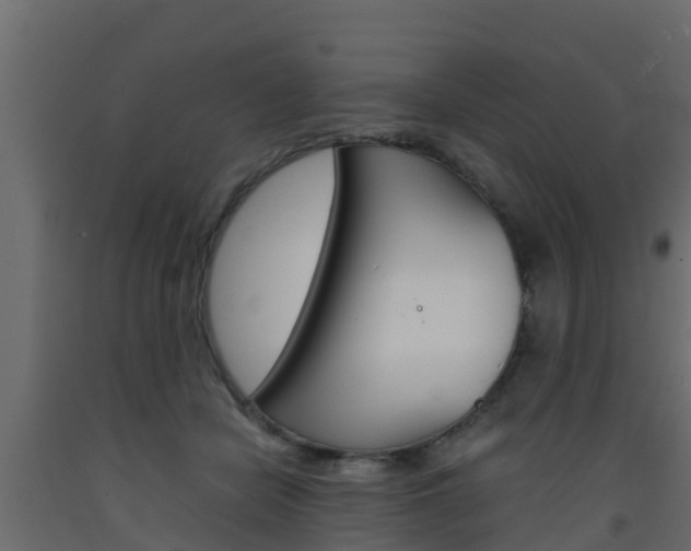 X0000093570462200710151020