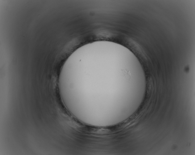 X0000093570463200710151020