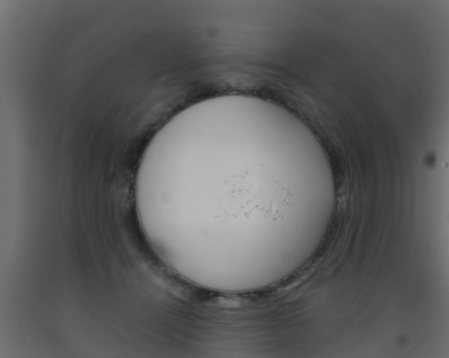 X0000093570464200710151020