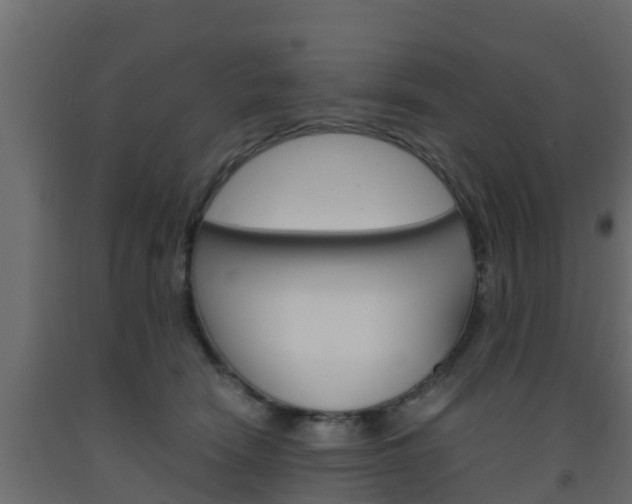 X0000093570466200710151020