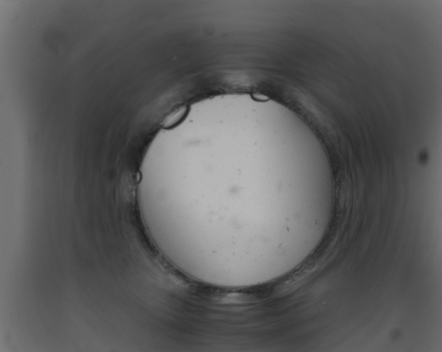 X0000093570467200710151020