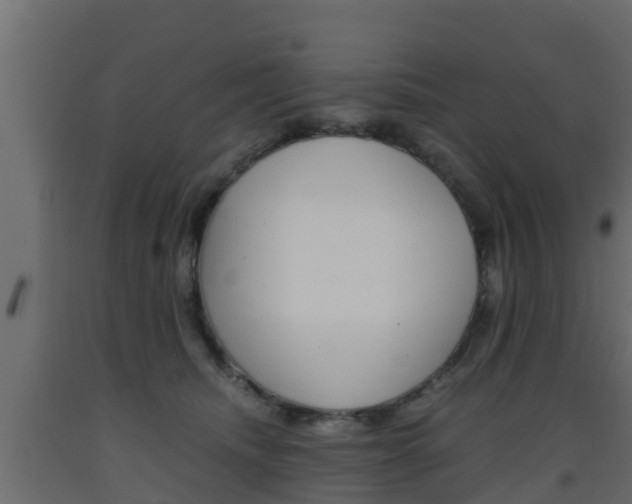 X0000093570468200710151020