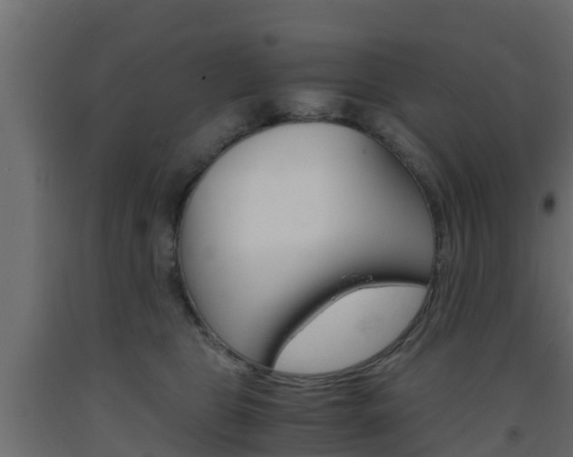 X0000093570469200710151020