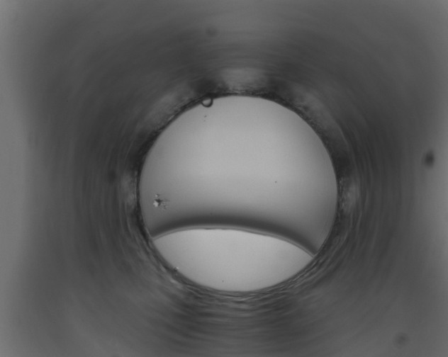 X0000093570471200710151020