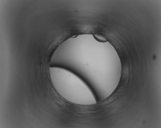 X0000093570473200710151020