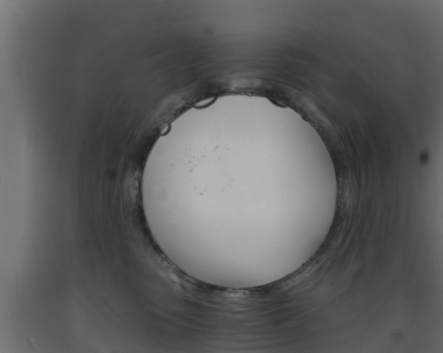 X0000093570475200710151020