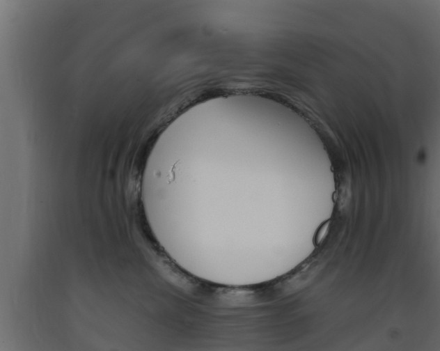 X0000093570476200710151020