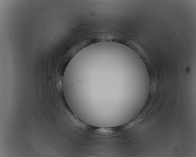 X0000093570477200710151020