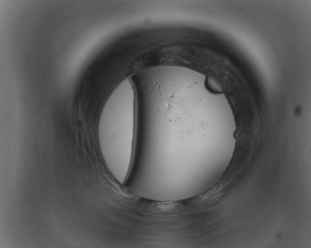 X0000093570479200710151020